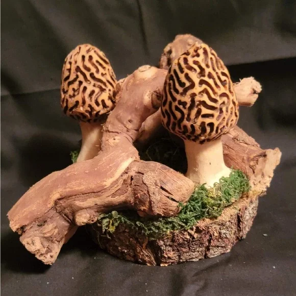 Morel Mushroom Natural Wood Burned By Hand Sculpture Art - Picture 2 of 2